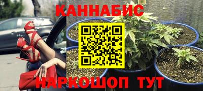 эйфоретик Гай