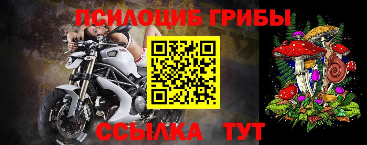 Псилоцибиновые грибы Psilocybine cubensis Воскресенск